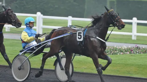 Les pronostics hippiques de Sébastien Mortagne : Lundi 22 Septembre 